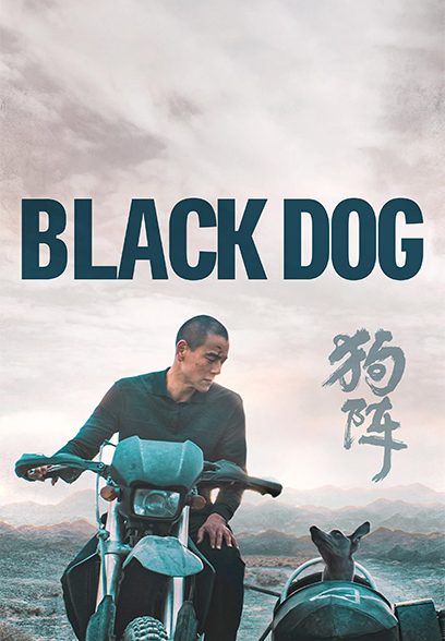 Black Dog 2024