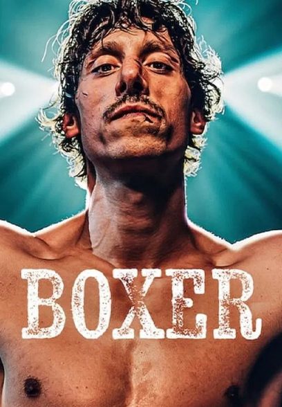 Boxer 2024