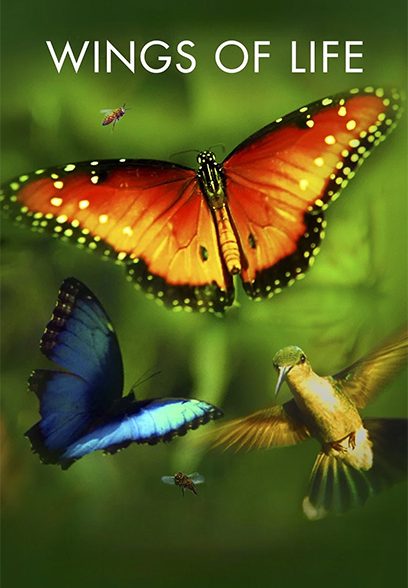 Disneynature: Wings of Life 2011