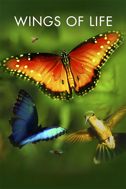 Disneynature: Wings of Life 2011