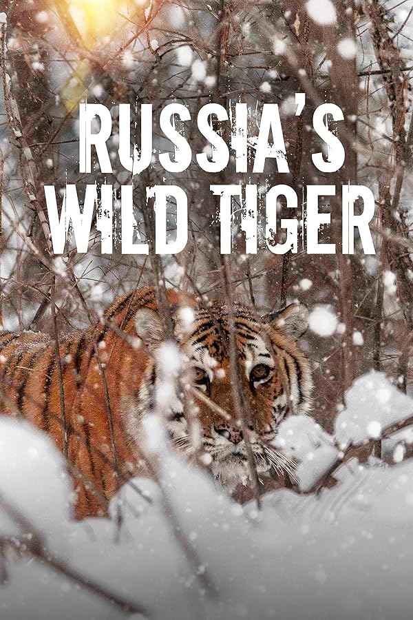 Russia’s Wild Tiger 2022