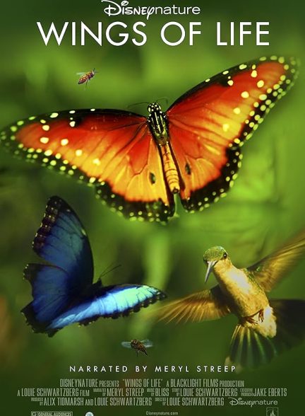 Disneynature: Wings of Life 2011