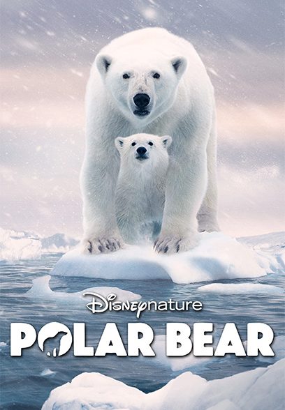 Polar Bear 2022