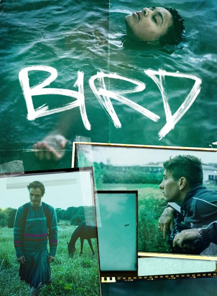 Bird 2024
