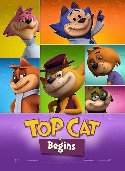 Top Cat Begins 2015