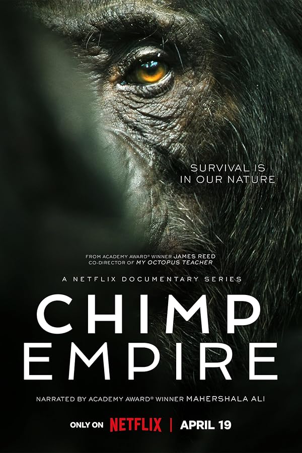 سریال Chimp Empire