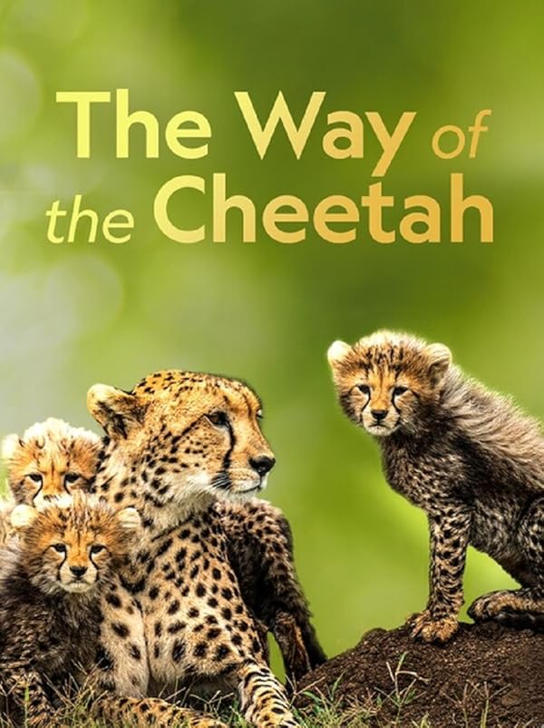 The Way of the Cheetah 2022