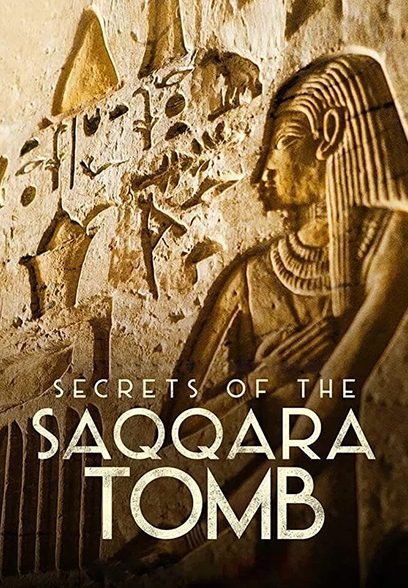 Secrets of the Saqqara Tomb 2020