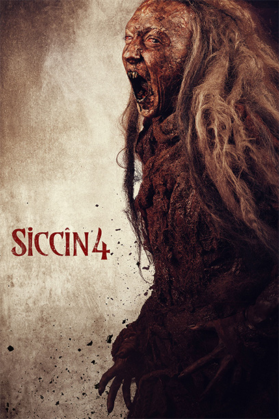 Siccin 4 2017