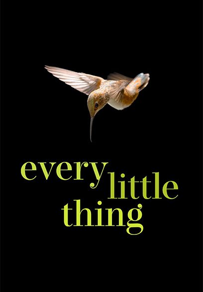 Every Little Thing 2024