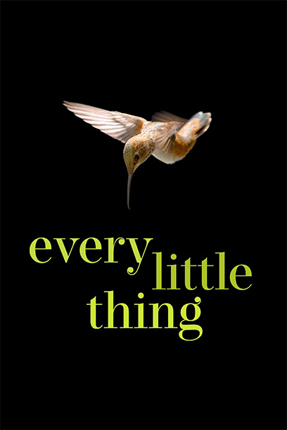 Every Little Thing 2024
