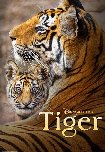 Tiger 2024