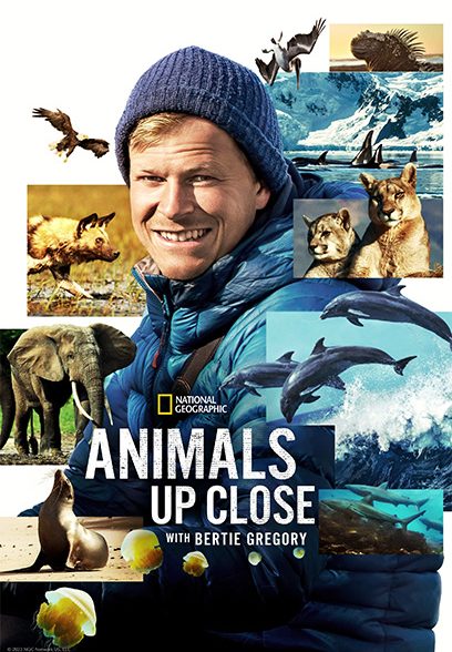 Animals Up Close with Bertie Gregory 2023